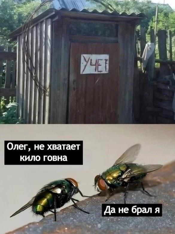Олег, где кило говна? Дачный учет на максималках!