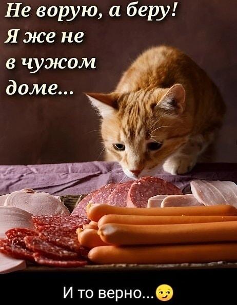 Рыжий наглец: Мой дом – мои правила, мои сосиски!