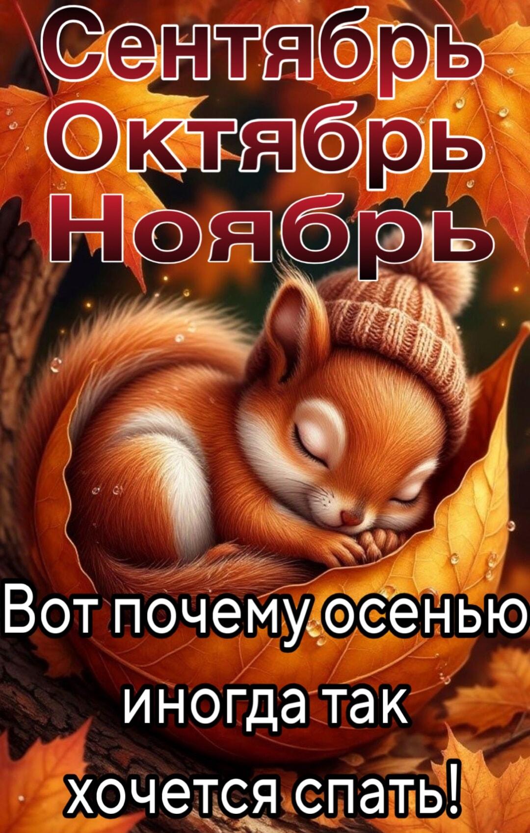 Спящая белка объясняет, почему осенью так хочется спать!