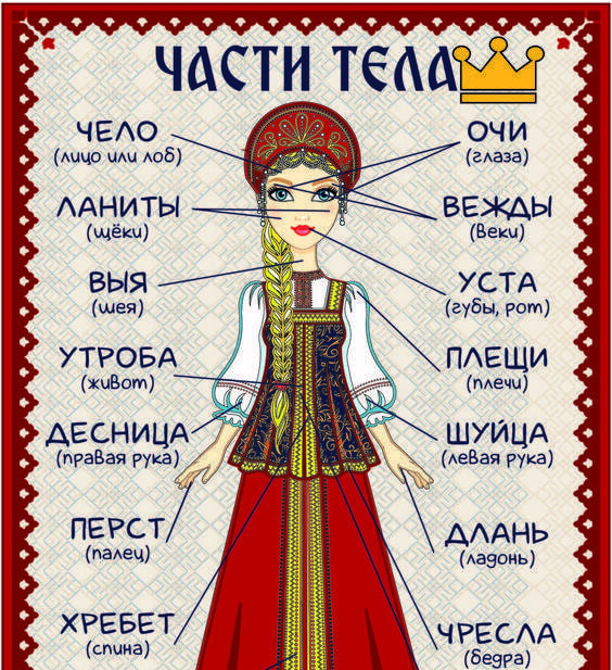 Зацени: как назывались части тела в Древней Руси? Удивись!