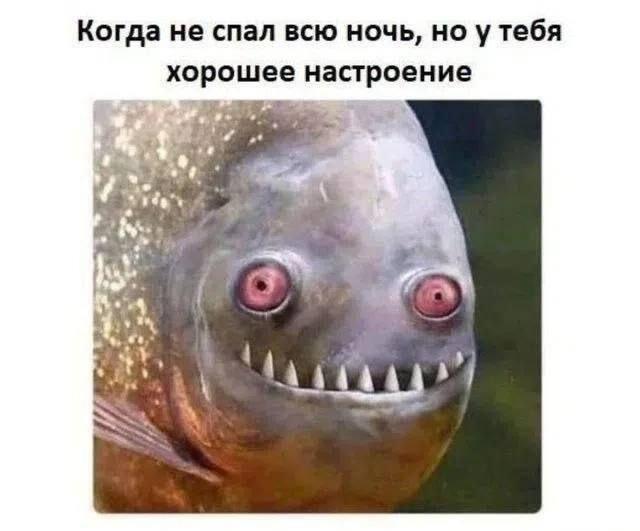Бессонная ночь? Настроение все равно на пике! Я в порядке!