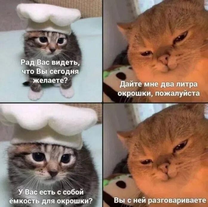 Смешной диалог кота и котенка про окрошку и ее тару