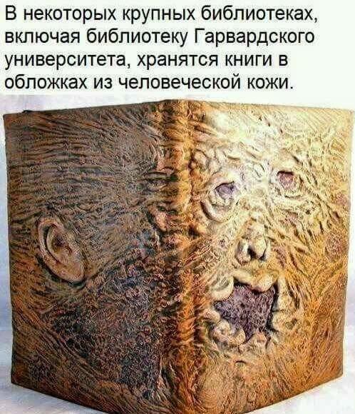 Гарвардские тайны: книги из человеческой кожи – это правда?