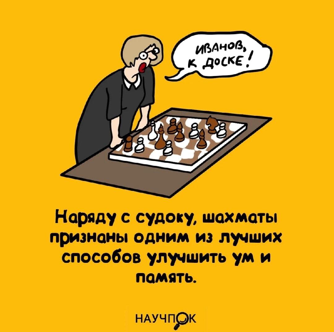 Когда учитель зовет к доске, а там шахматы. Иванов, твой ход!