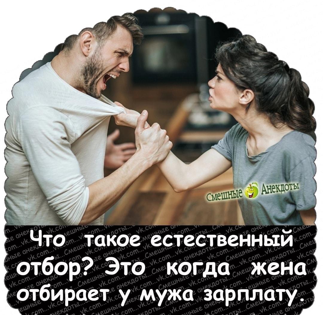 Естественный отбор: эволюция семейного бюджета по-русски