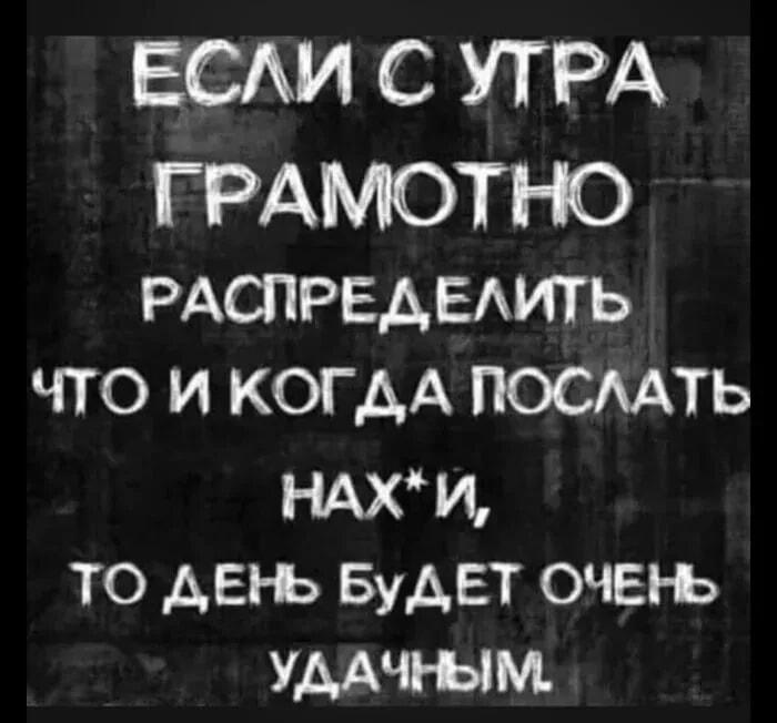 Формула успеха: утром всех послал – день удался!