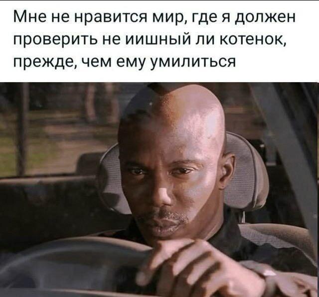 ИИ-котята: когда даже умиление под угрозой нейросетей