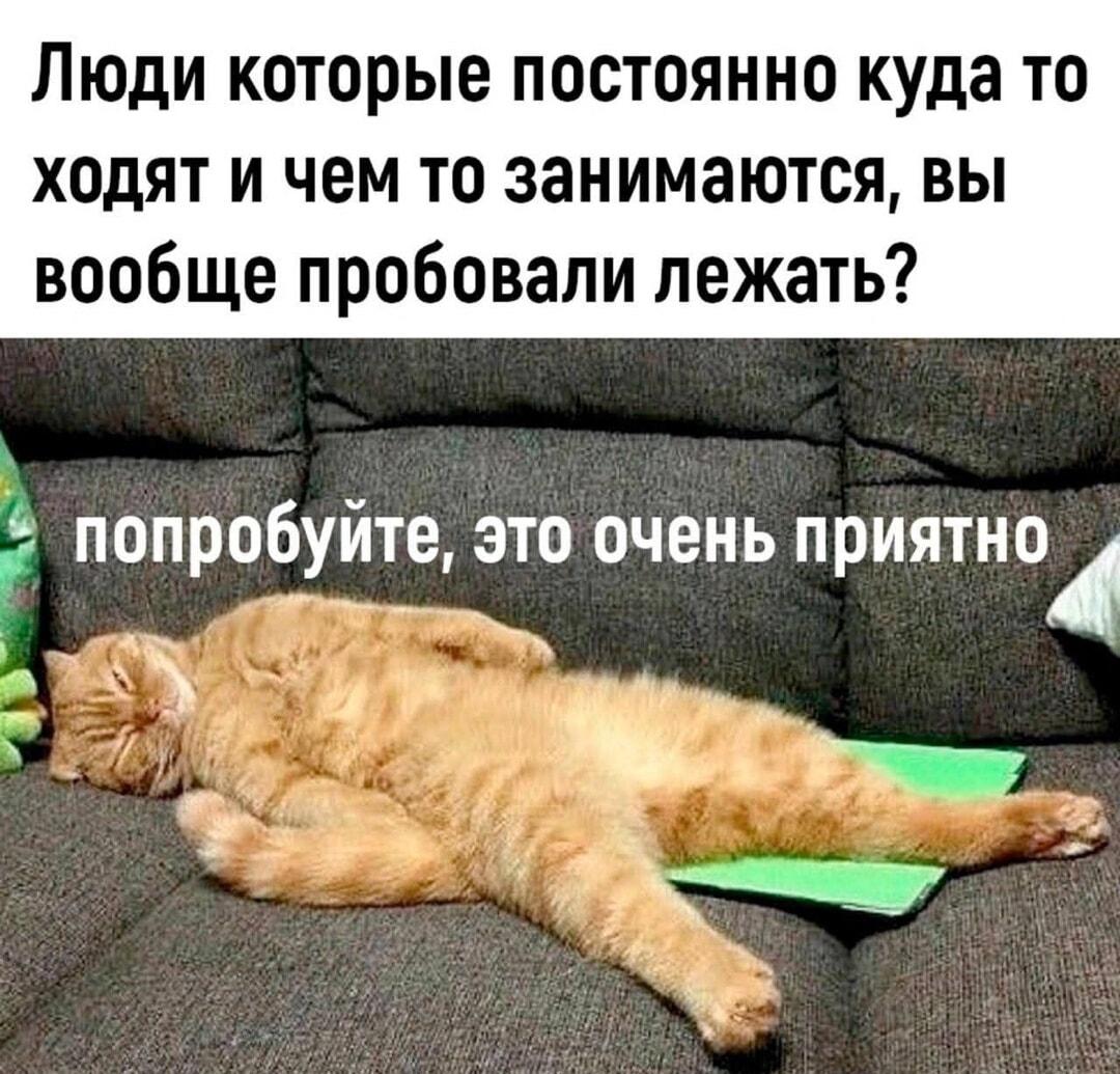 Активные люди, попробуйте лежать! Кот рекомендует лучший отдых