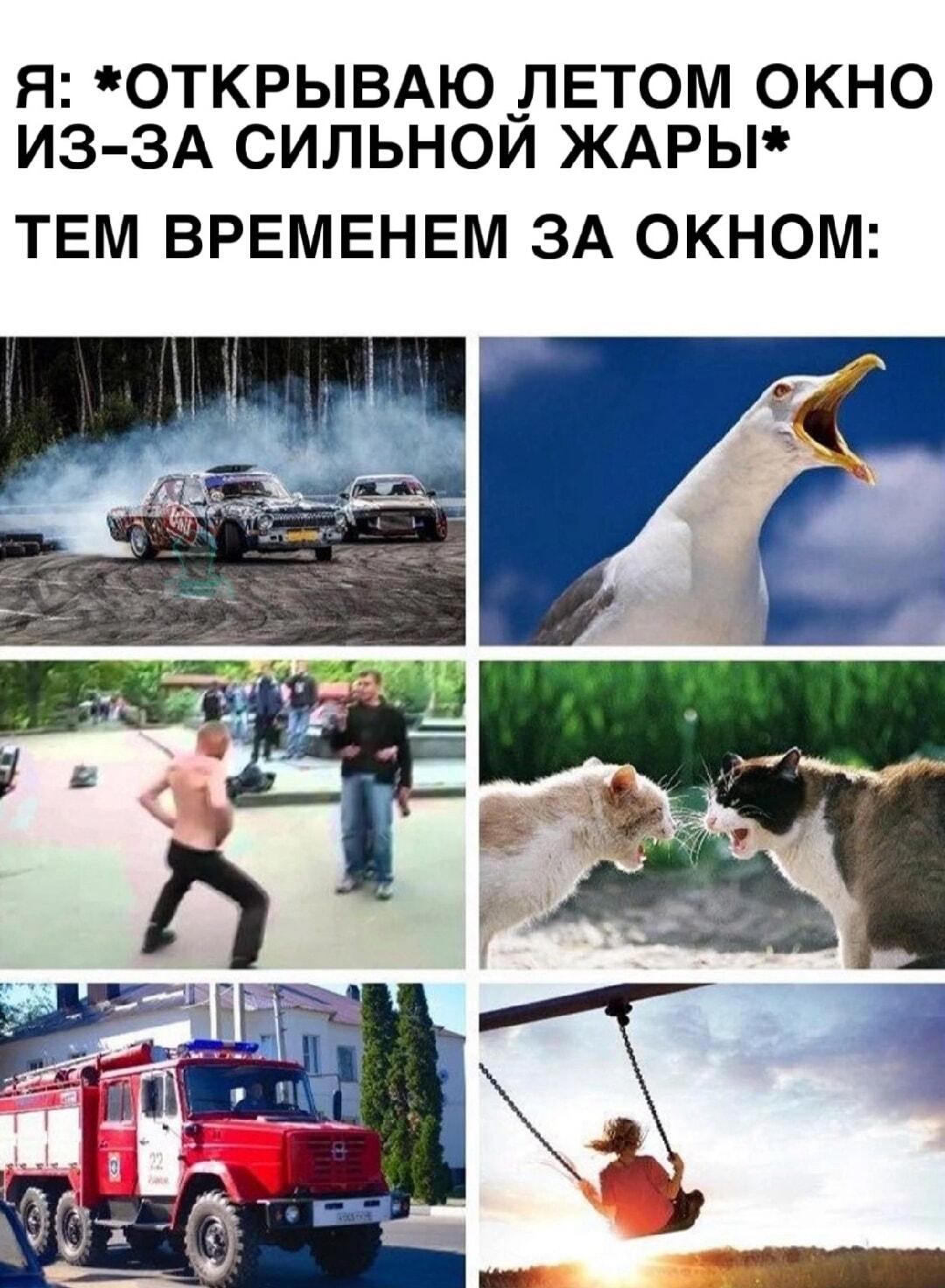 Когда за окном творится настоящий русский летний хаос