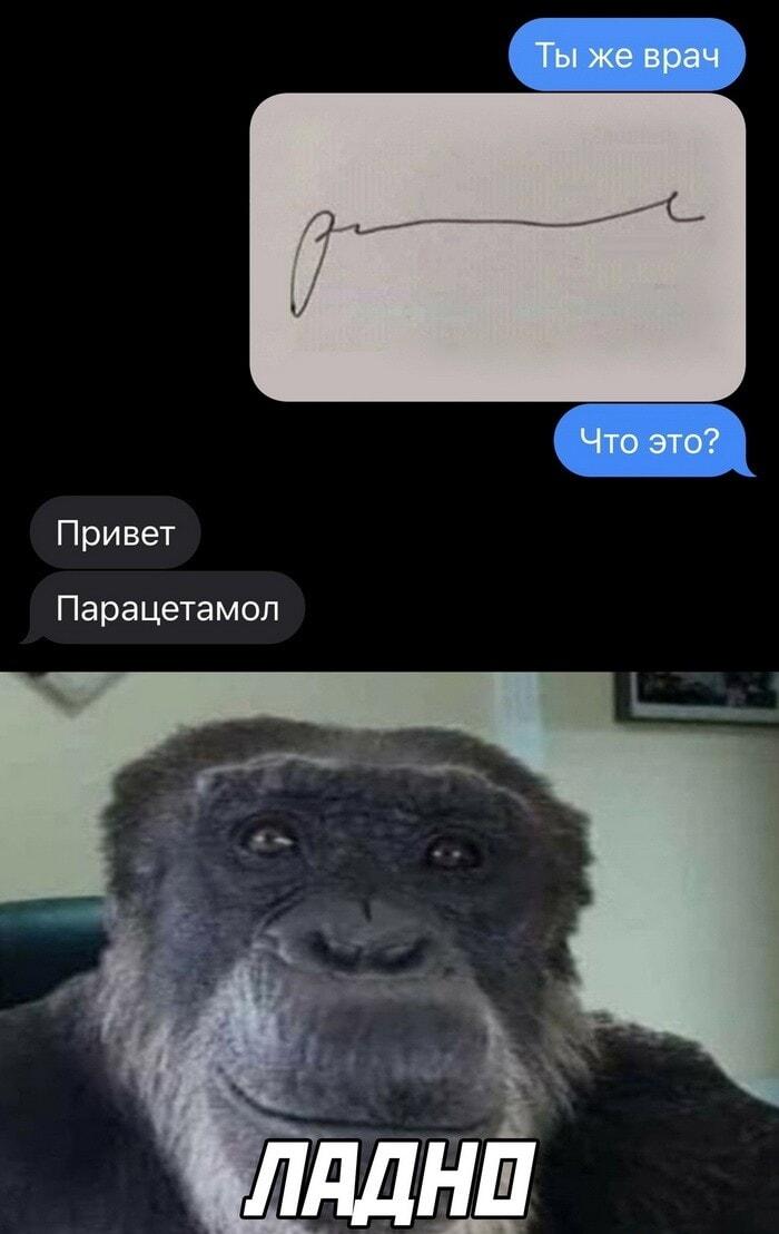 Доктор, что за каракули? — Парацетамол от всего!