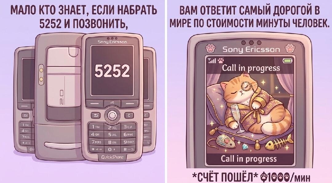 Позвонил на 5252: вот кто взял трубку за $1000 в минуту!