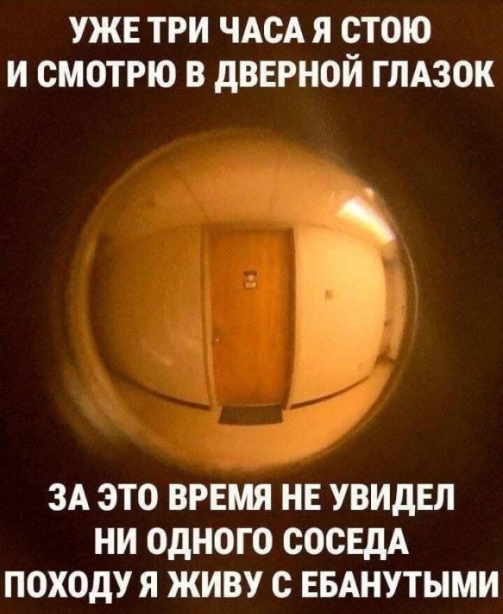 Соседи, выходите! Я уже три часа смотрю в глазок!