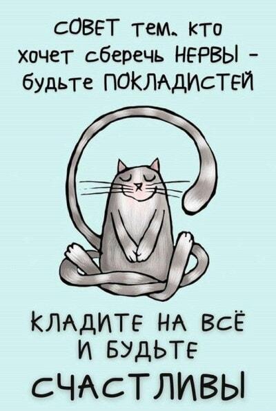 Гениальный совет от кота: как сберечь нервы и быть счастливым!