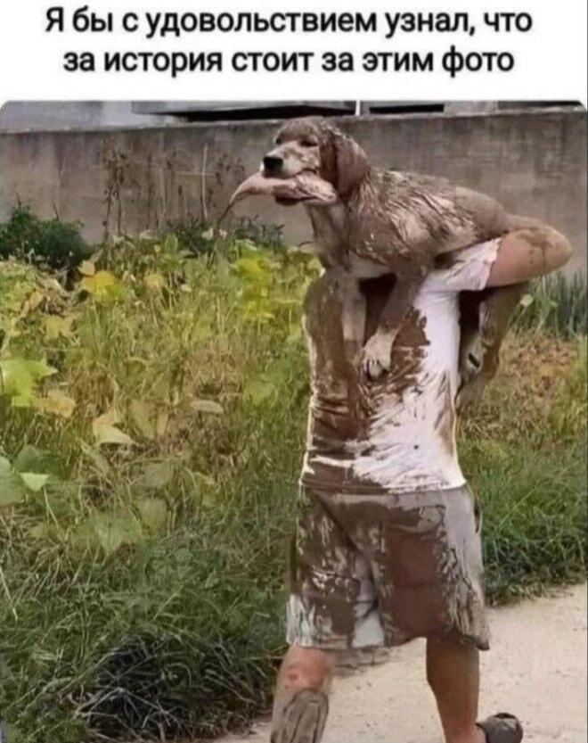 Хозяин спас пса из грязи, а тот с уловом! 🤣