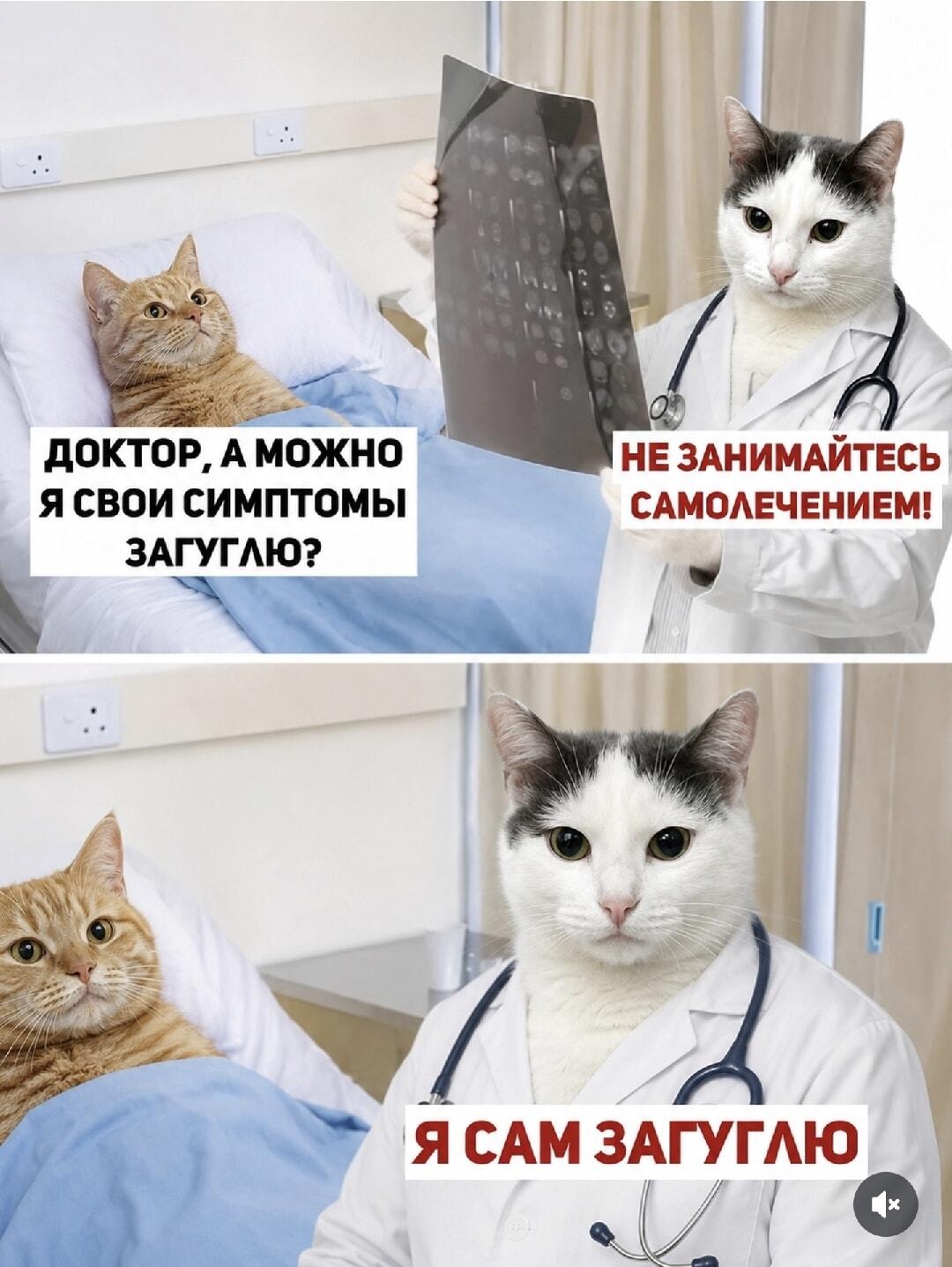 Доктор запретил гуглить симптомы, а потом сам полез в интернет!