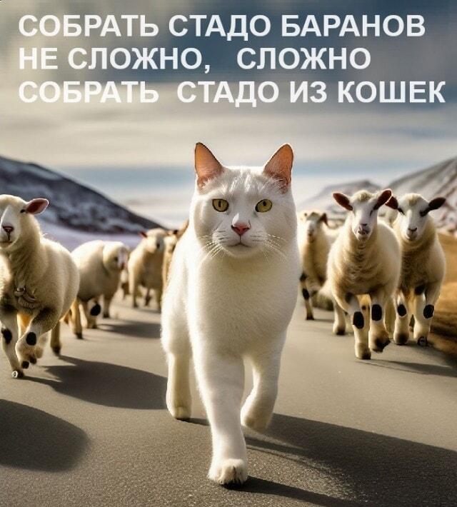 Кошки против баранов: миссия 