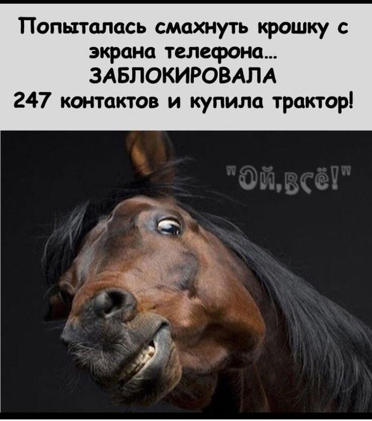 От крошки на экране до трактора: как телефон заблокировал всех!