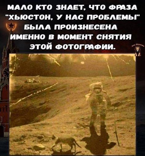 Хьюстон, у нас проблемы! Кот-космонавт на Луне замечен!