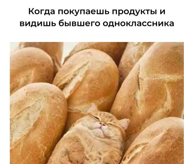 Когда увидел бывшего одноклассника: притворись хлебом!