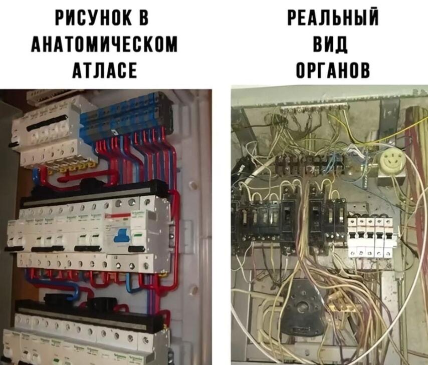 Учебник vs. Жизнь: идеальная схема и суровая реальность