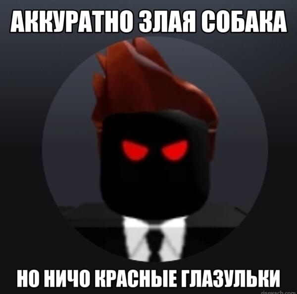 Аккуратно злая собака: красные глазульки — это фишка!