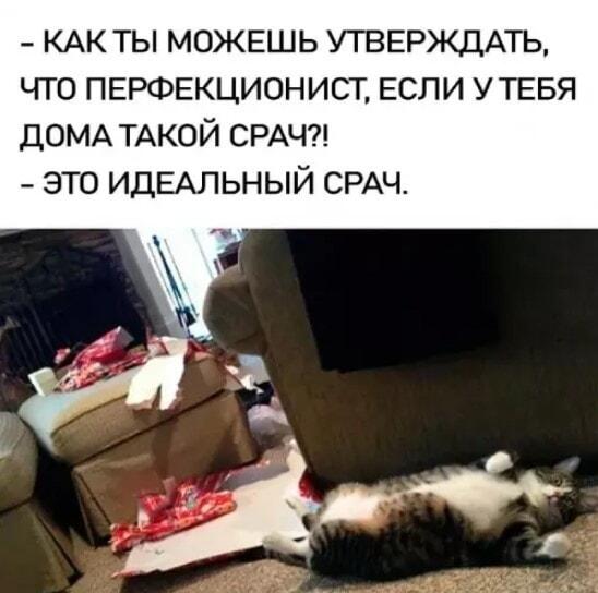 Идеальный срач: когда перфекционист знает толк в беспорядке!