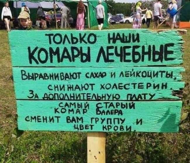 Наши комары лечат всё: от сахара до группы крови!