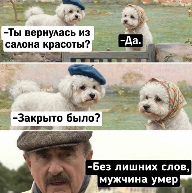 Когда муж слишком честен после твоего салона красоты
