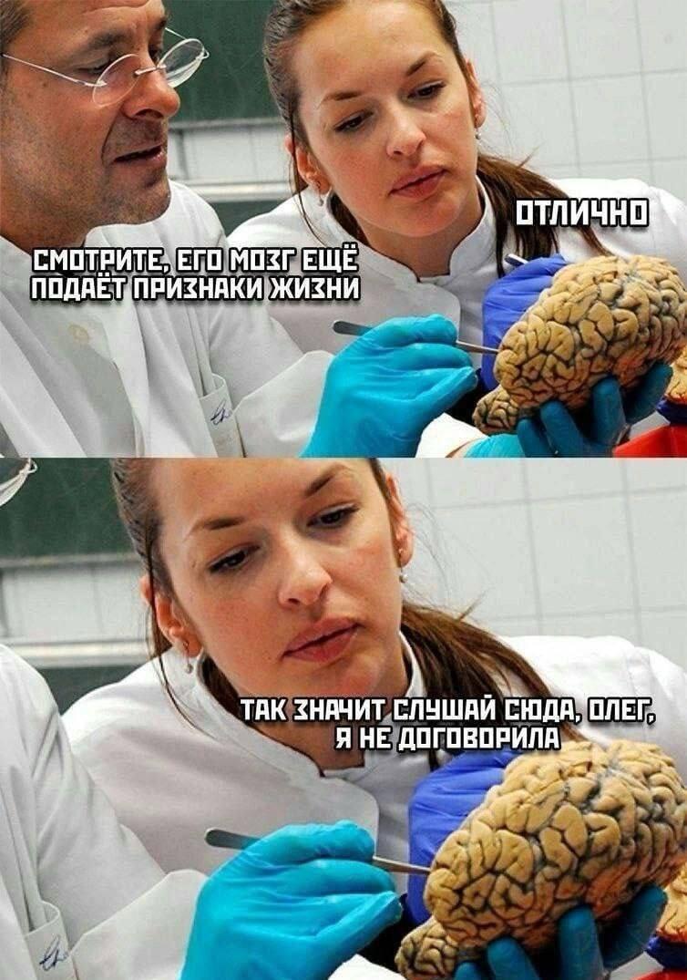 Мозг ещё подаёт признаки жизни: Олег, слушай, я не договорила!