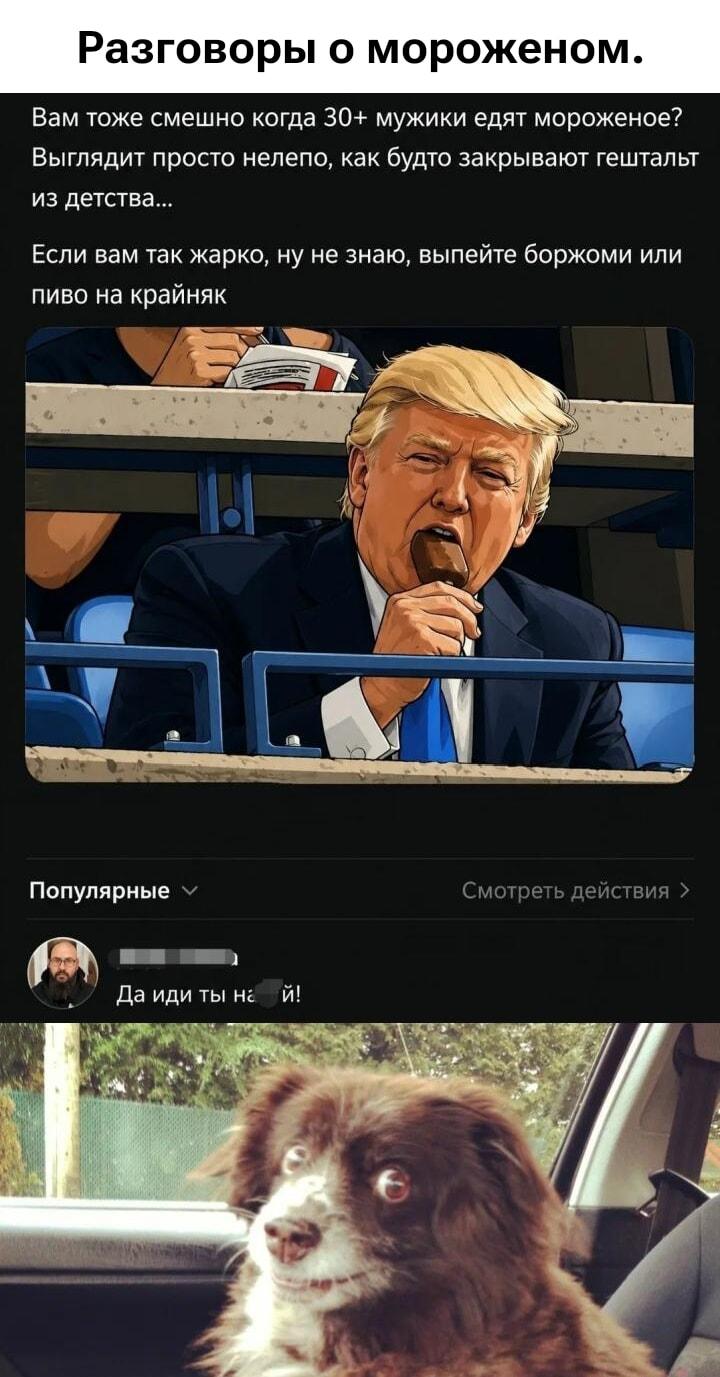 Мужики и мороженое: когда даже Трамп не указ диванным критикам