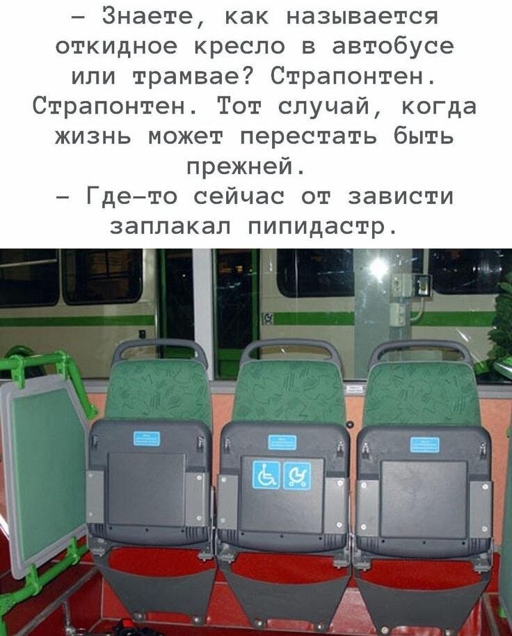 Страпонтен: Жизнь не будет прежней после этого мема!