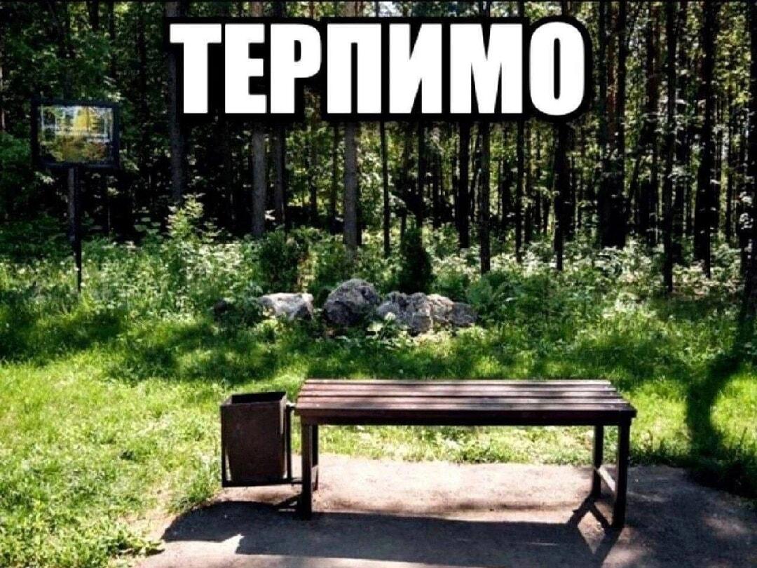 Когда жизнь не фонтан, но и не болото: просто терпимо