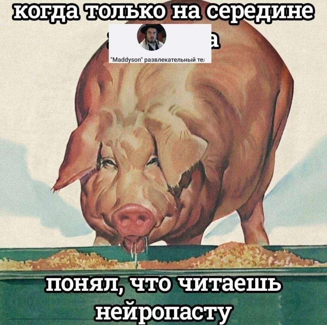 Когда Мэддисон кормит нейропастой: этот кринж не остановить!