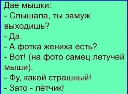 Жених – летучая мышь: главное, что пилот!