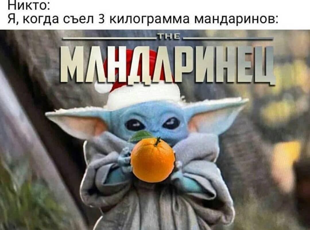 Мандаринец: Когда новогодний жор мандаринов вышел из-под контроля!