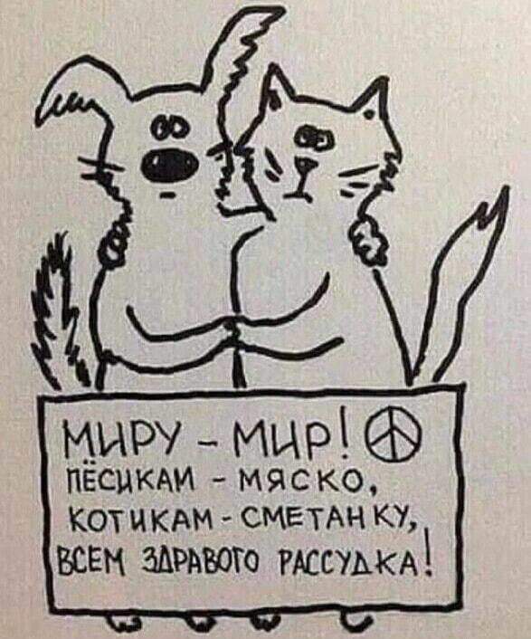 Миру мир, животным еду: универсальный рецепт счастья!