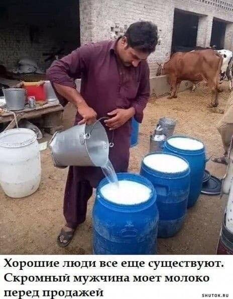 Секреты молочного бизнеса: как 'мыть' молоко перед продажей