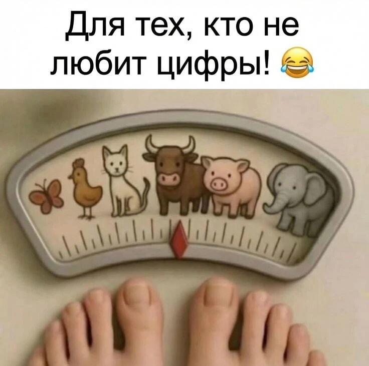 Весы для тех, кто не любит цифры: теперь понятно, кто ты!