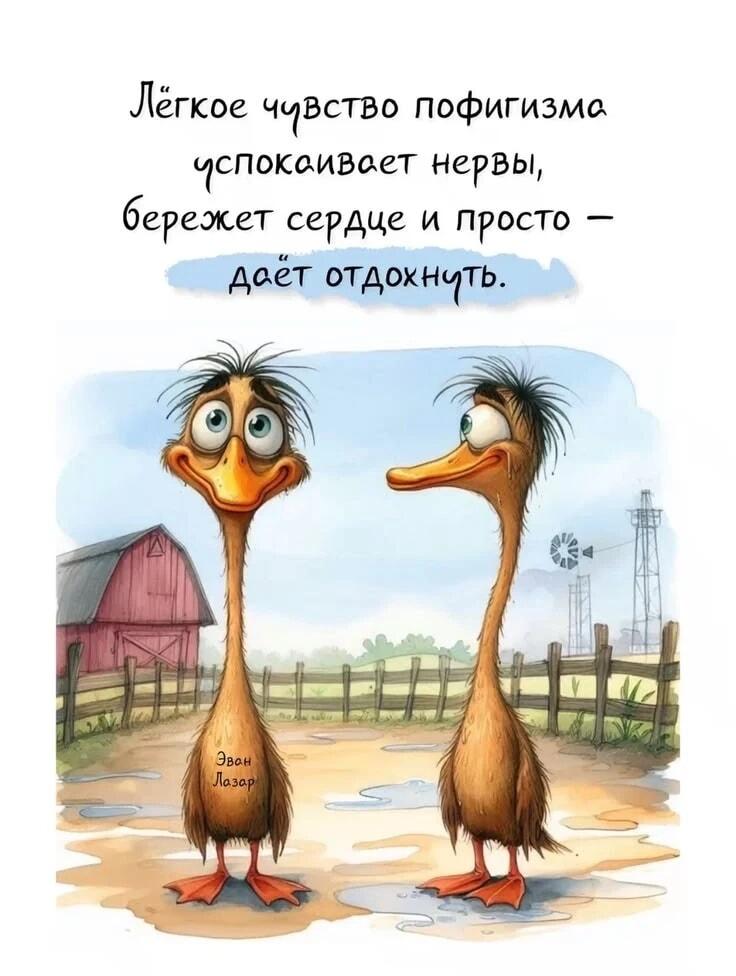 Пофигизм: спасение для нервов и сердца! Отдохни, как эти утки.