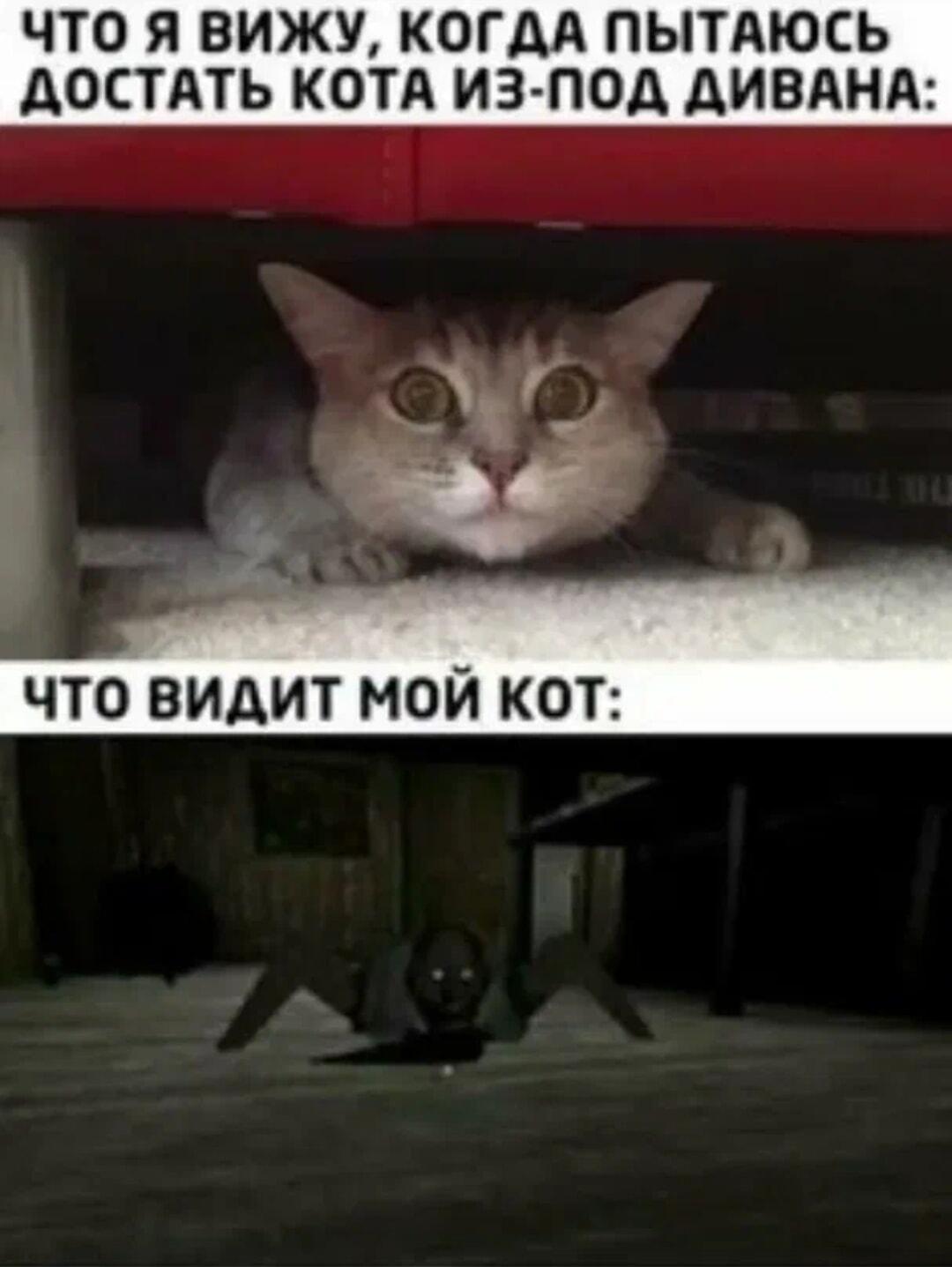 Кот под диваном: моя миссия спасти vs его хоррор-игра