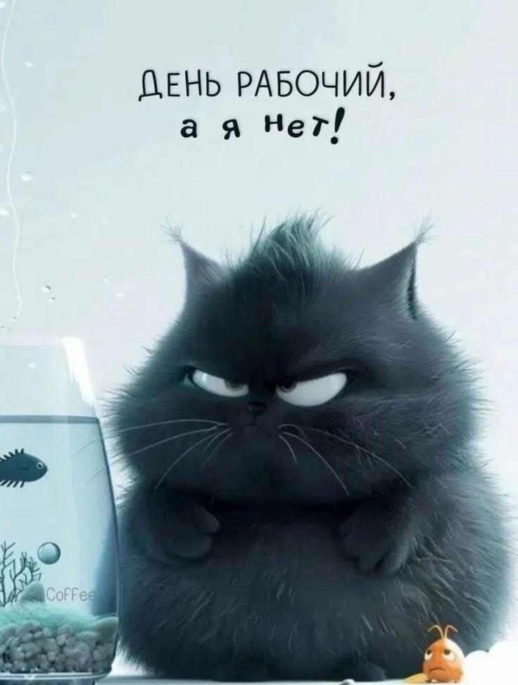 Кот-бунтарь: 