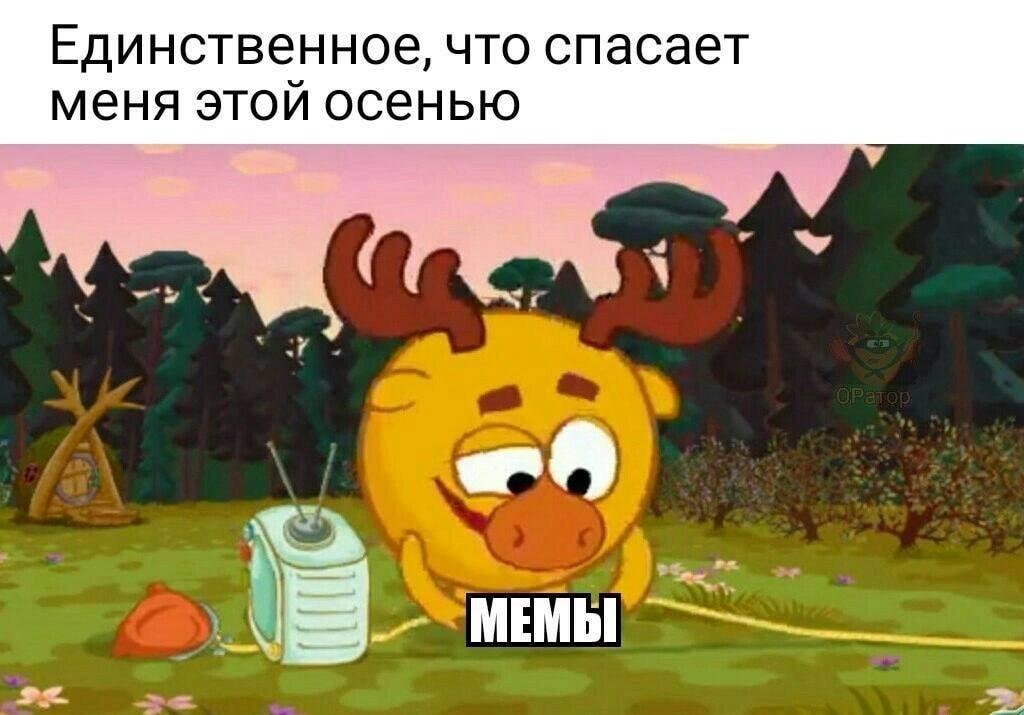 Когда осенняя хандра накрыла: спасаемся мемами!