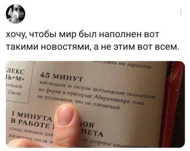 Шотландские копы 45 минут гонялись за плюшевым тигром!