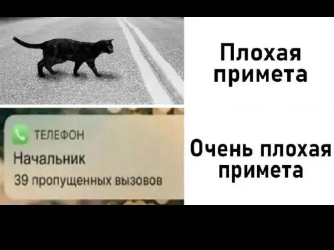 39 пропущенных от начальника: вот это реально плохая примета!