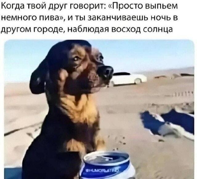 Друг позвал на пиво: как оказаться в другом городе на рассвете