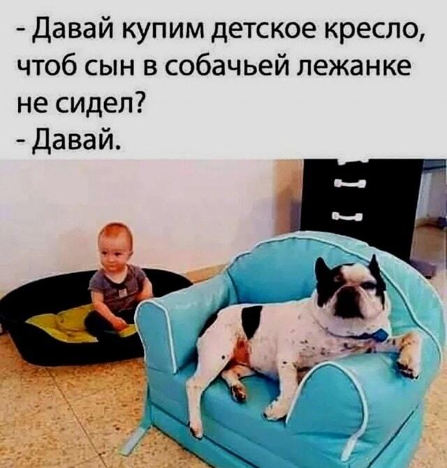 Когда купили детское кресло, но его занял пёс