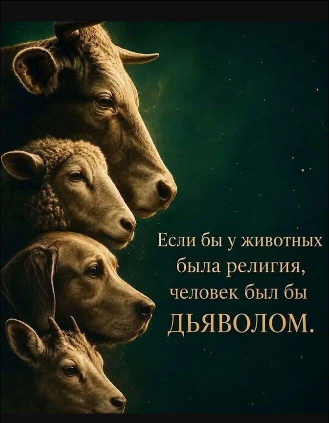 Кем человек был бы для животных, если бы у них была религия?