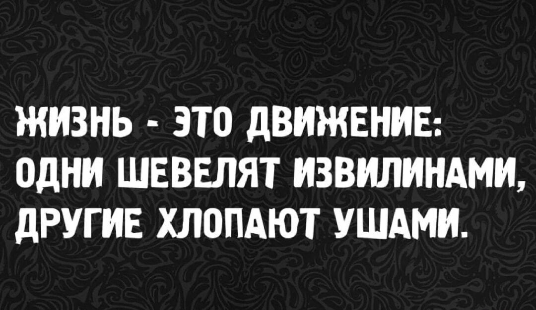 Движение жизни: шевелим извилинами или хлопаем ушами?