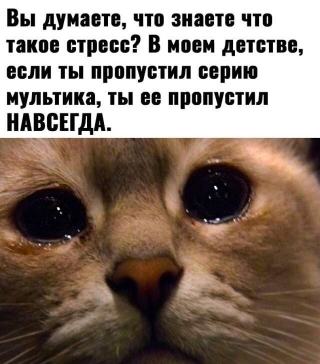 Детство без интернета: пропущенная серия – потеря навсегда.