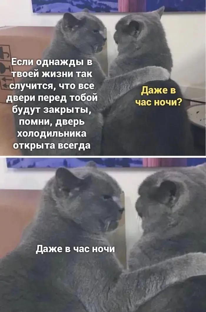 Холодильник: твой лучший друг, даже когда все двери закрыты!